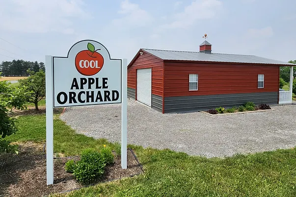 Cool Apple Orchard photo