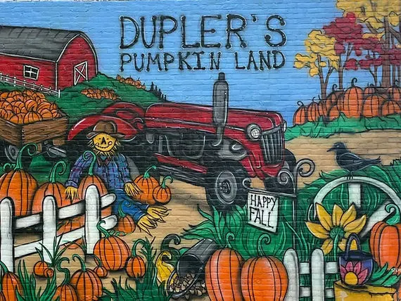 Dupler's Pumpkin Land