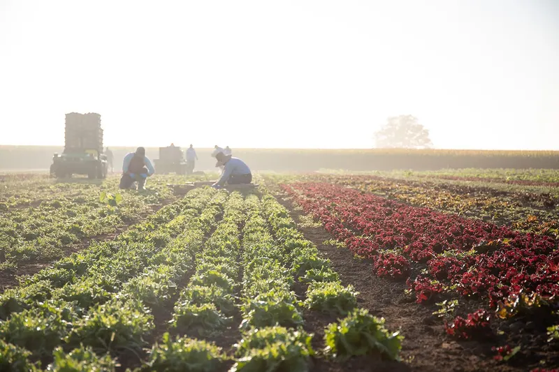 Farmer Jones Farm Market at The Chef's Garden