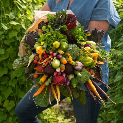 Farmer Jones Farm Market at The Chef's Garden photo