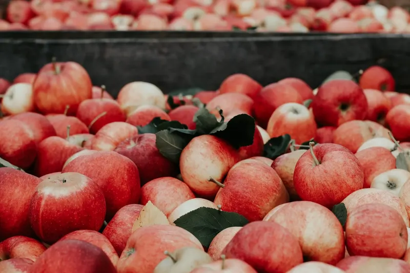 Geig's Orchard