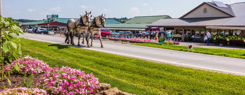 Hershberger's Farm and Bakery photo