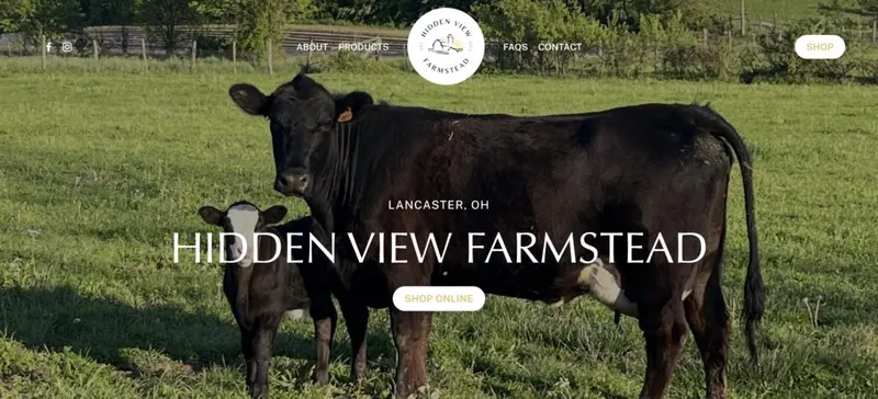 Hidden View Farmstead