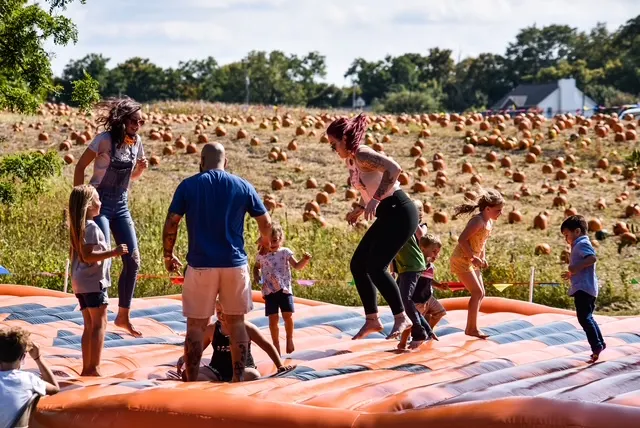 Jackson Family Farm photo