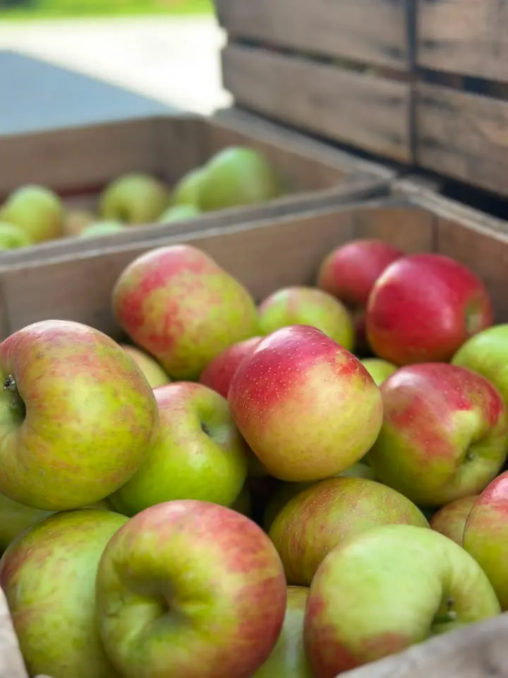 Karnes Orchard photo