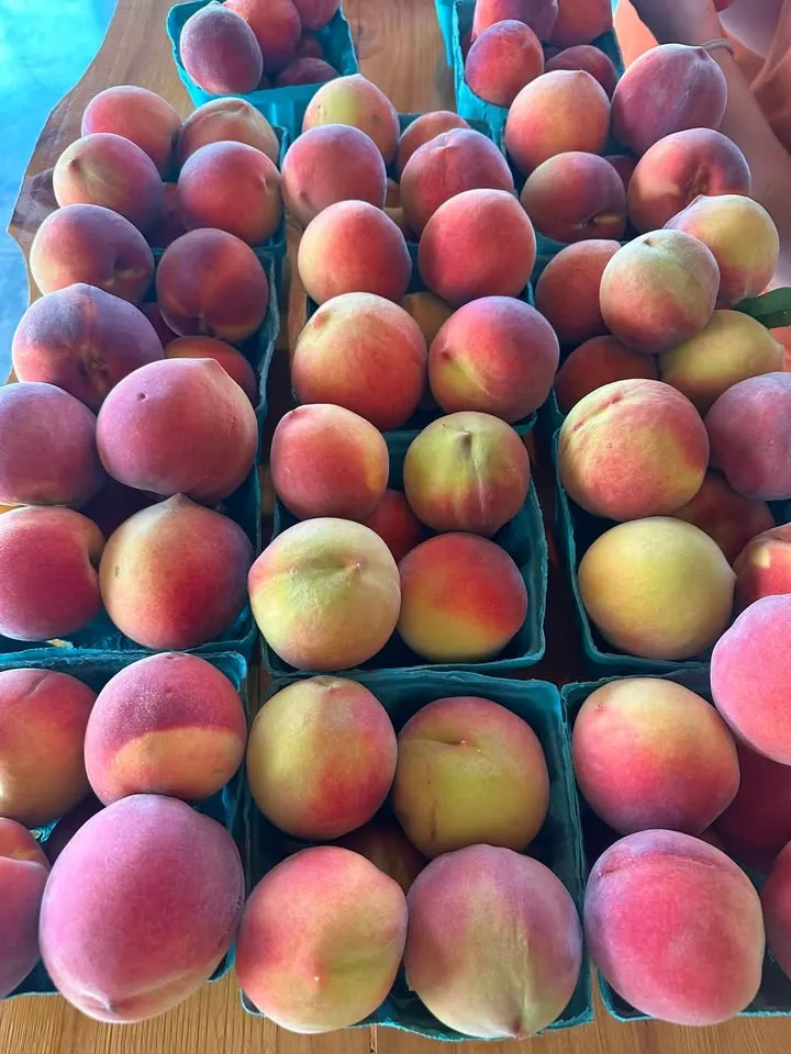 Karnes Orchard photo