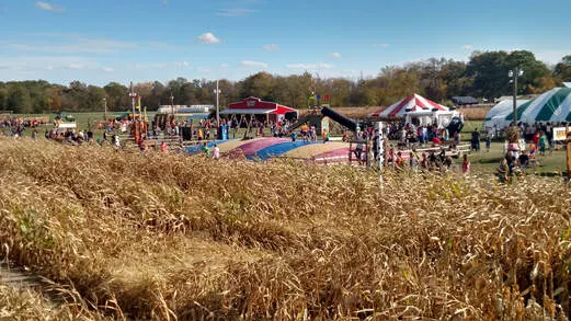 Leaders Farms / ScreamAcres