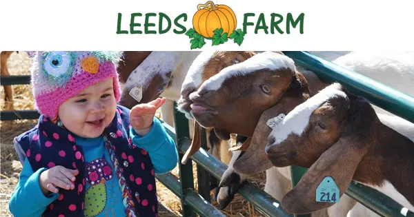 Leeds Farm