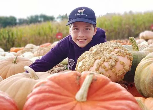 McDonald's Greenhouse & Corn Maze photo