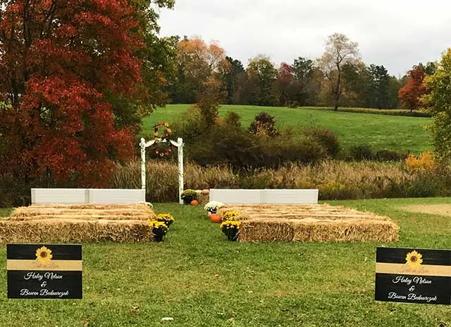 McDonald's Greenhouse & Corn Maze photo