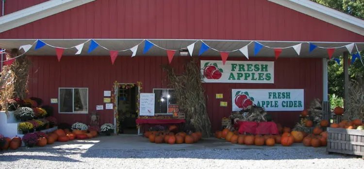 Miller Orchards