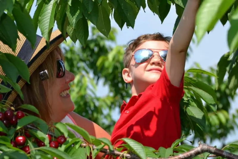 Monroe's Orchard and Farm Market