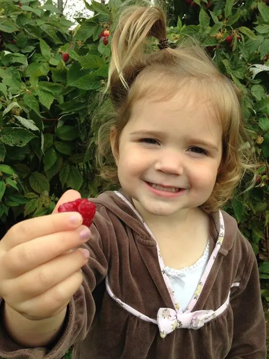 Monroe's Orchard and Farm Market photo