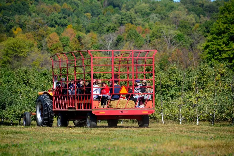 Monroe's Orchard and Farm Market photo