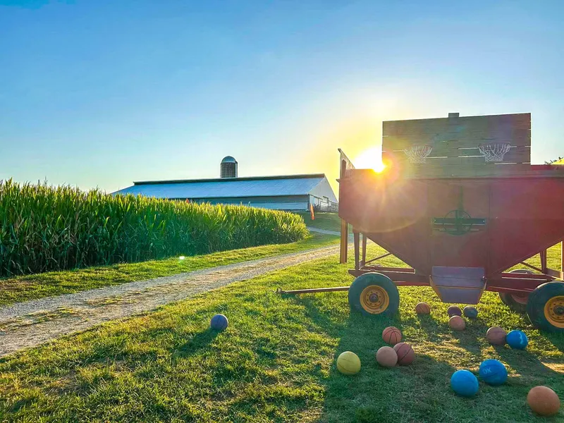 Niederman Family Farm