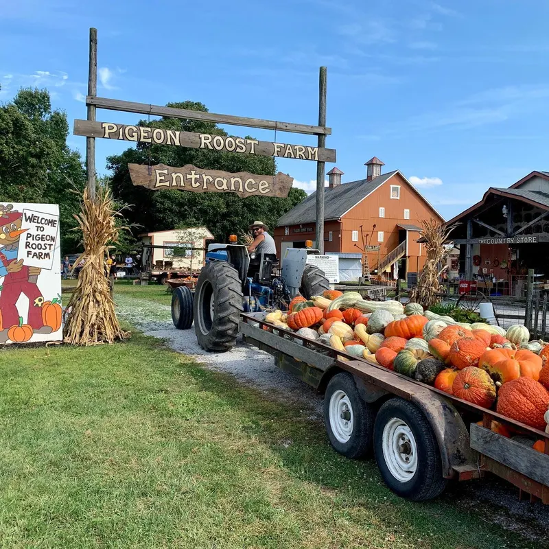 Pigeon Roost Farm photo