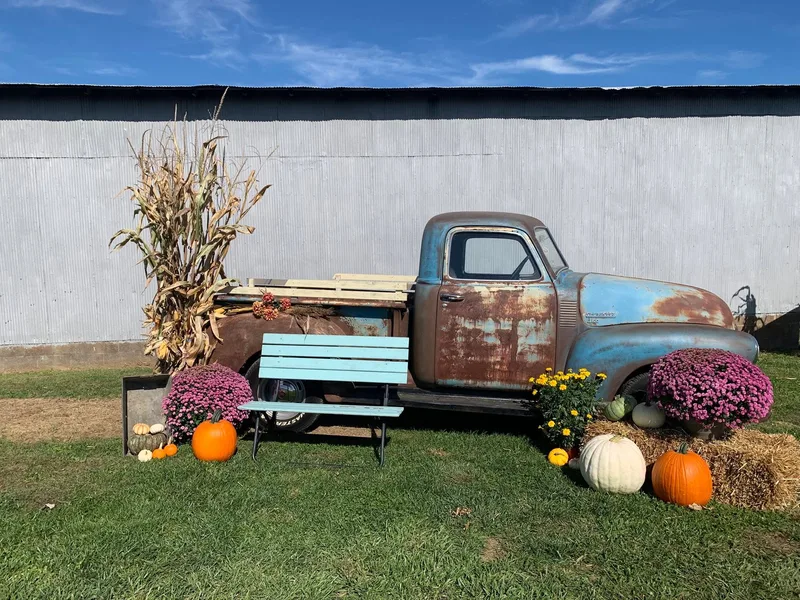 Porter's Pumpkin Patch