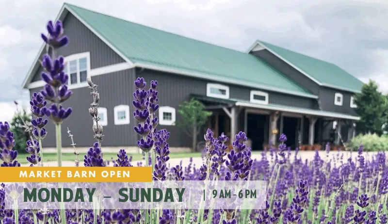 Quarry Hill Orchards photo