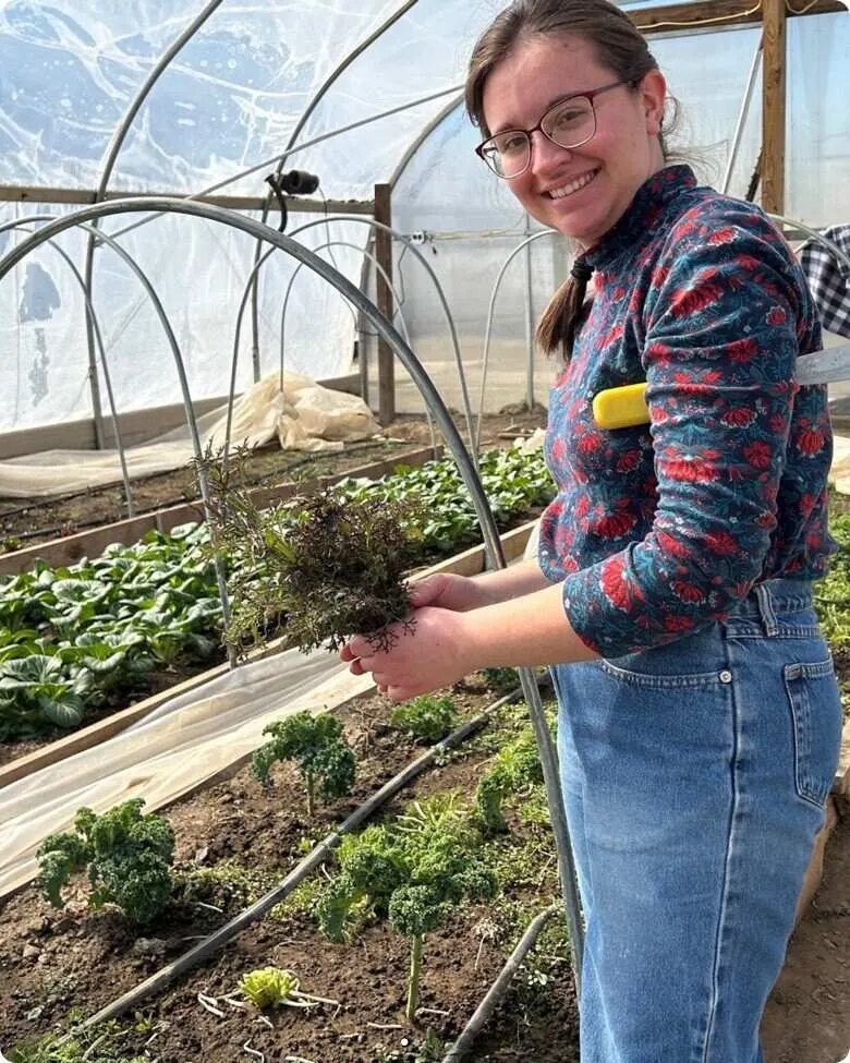 Riehm Produce Farm