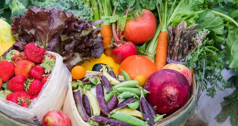 Riehm Produce Farm photo