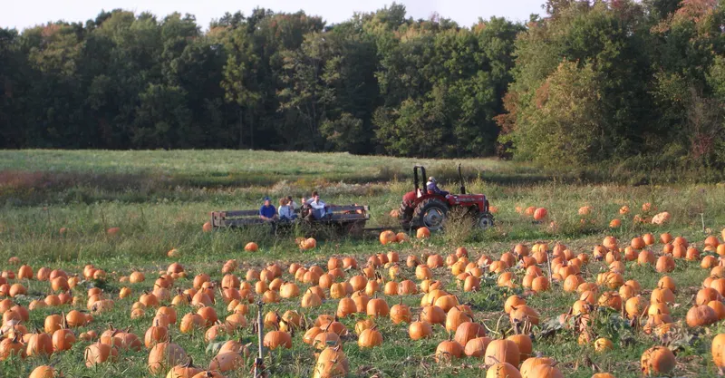 Stoney Creek Farm