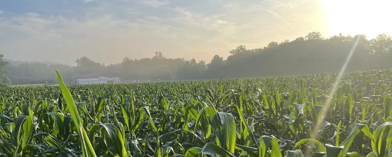 Szalay's Farm & Market