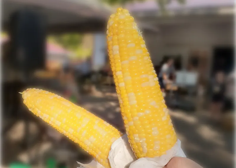 Szalay's Farm & Market photo