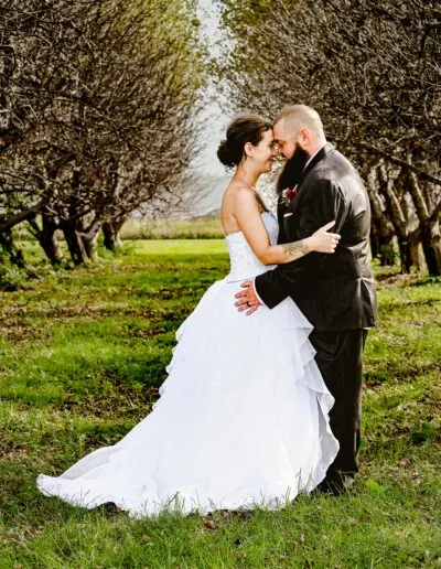 The Barn at Honey Blossom Orchard photo