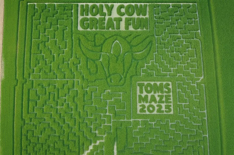 Tom's Maze and Pumpkin Farm