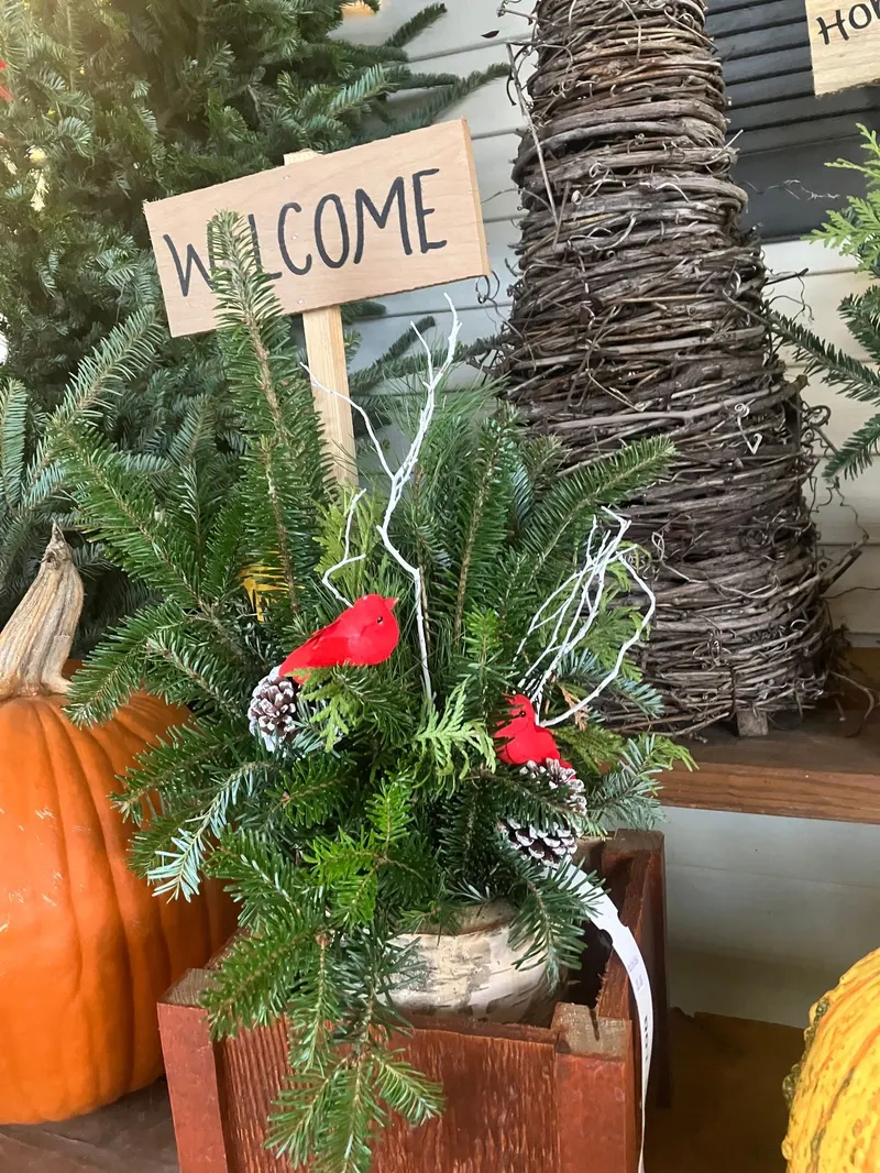 Tuken's Farm Market & Winery photo