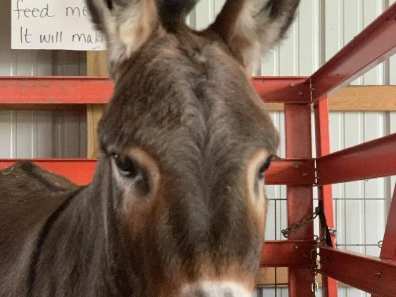 Votaw Farms photo