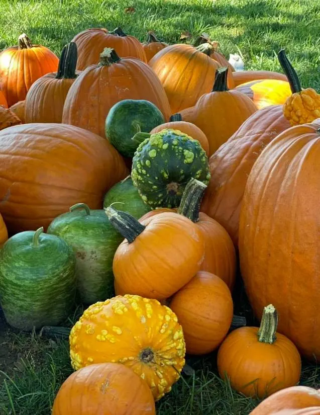 Wesler Orchards and Farm Market photo