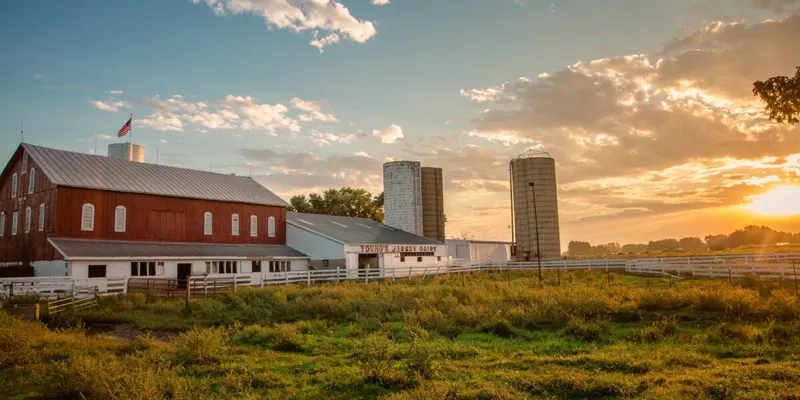 Young's Jersey Dairy