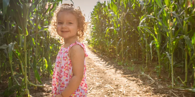 Young's Jersey Dairy photo