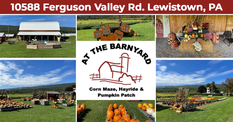 At The Barnyard