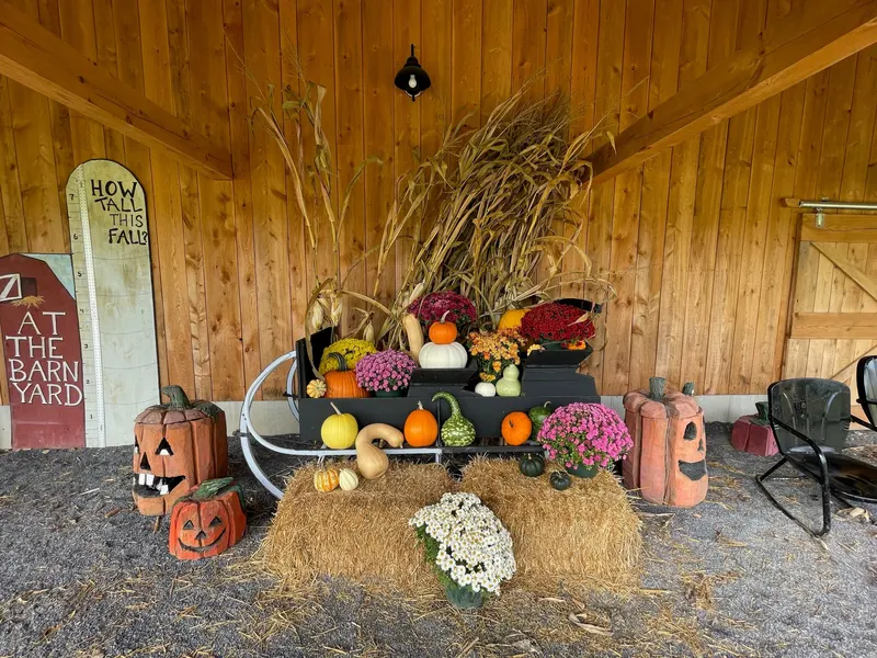 At The Barnyard photo