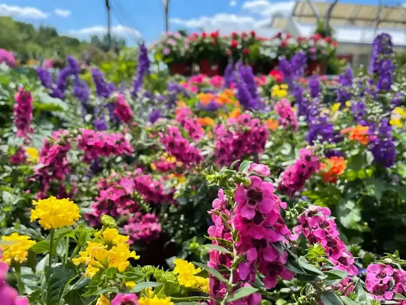 Bountiful Acres photo