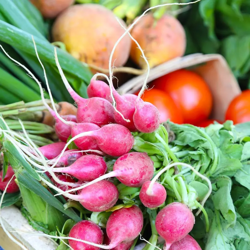 Country Creek Produce Farm photo