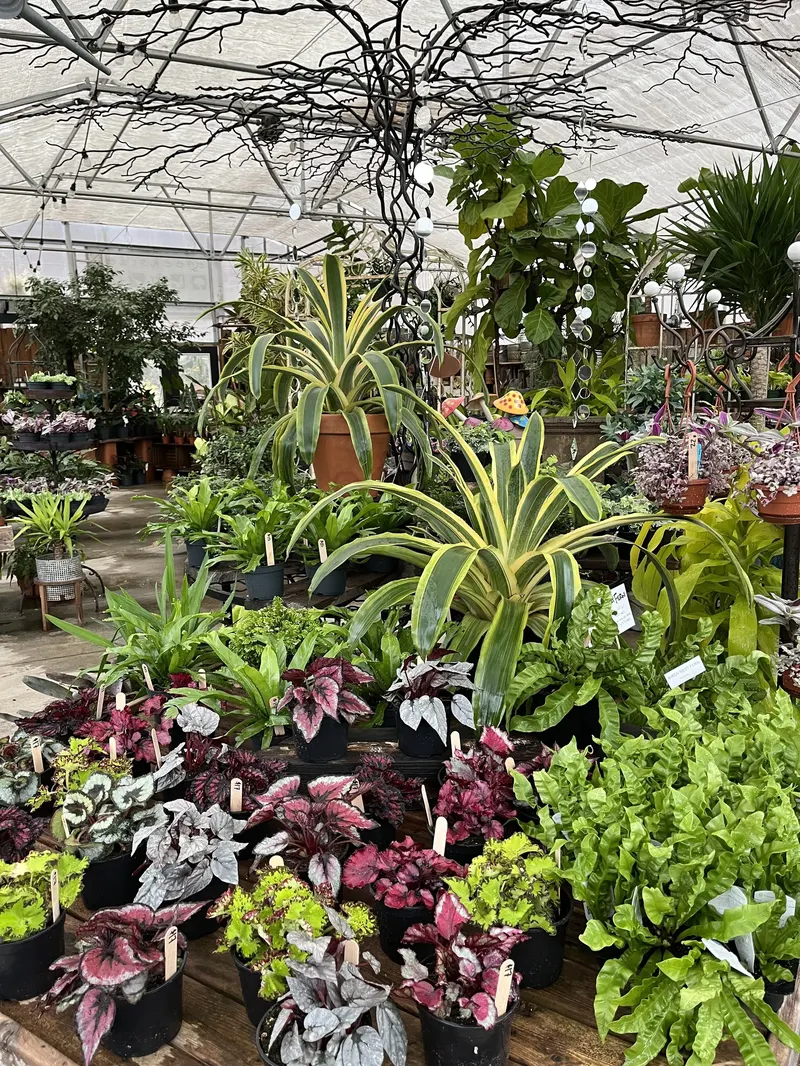 Creekside Gardens photo