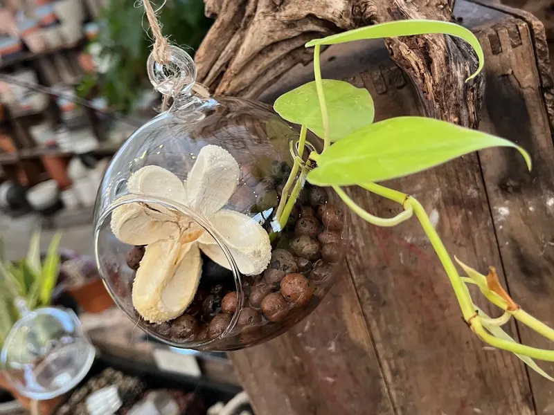Creekside Gardens photo
