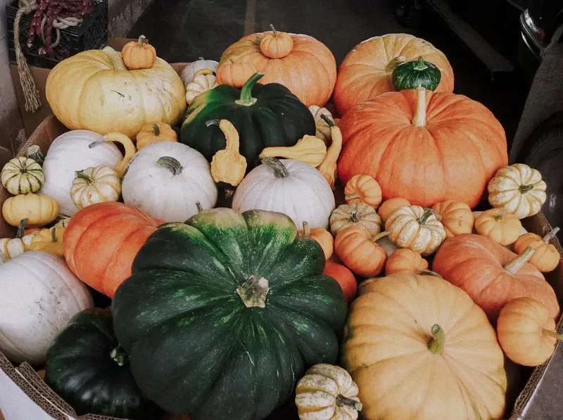 Crystal Spring Pumpkin Patch