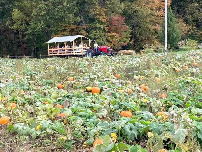 Fair Haven Farms photo