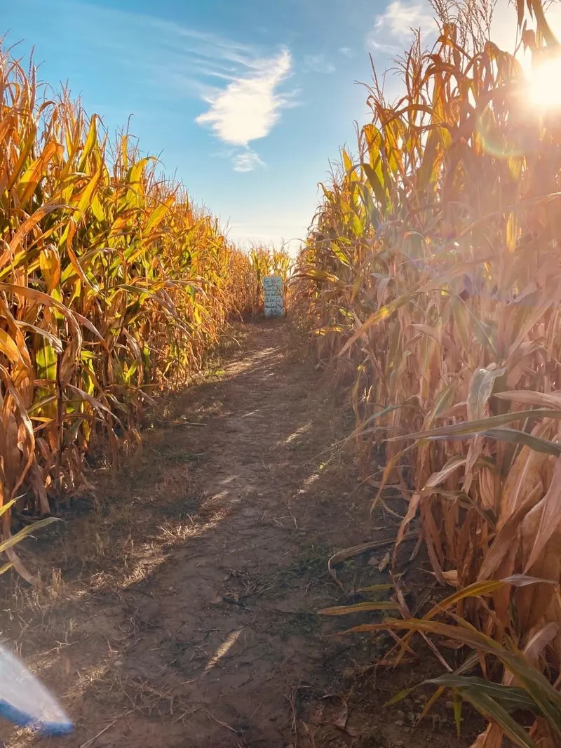 Fair Haven Farms photo