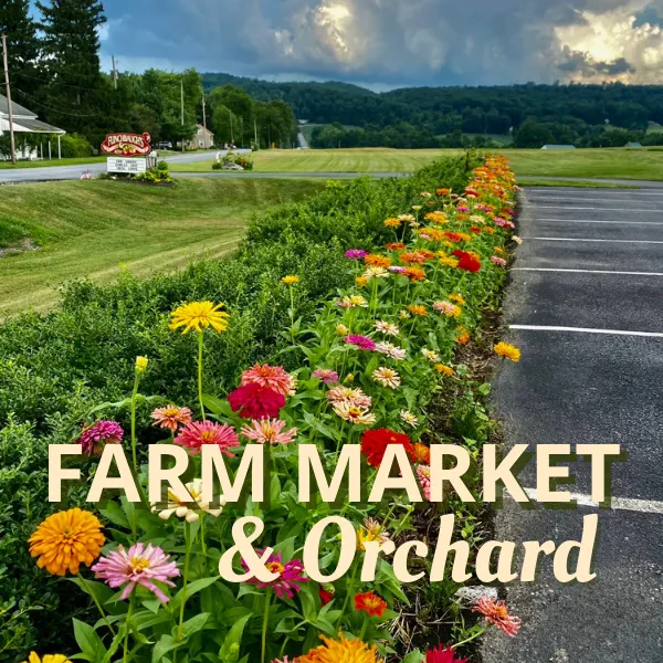 Flinchbaugh's Orchard & Farm Market photo