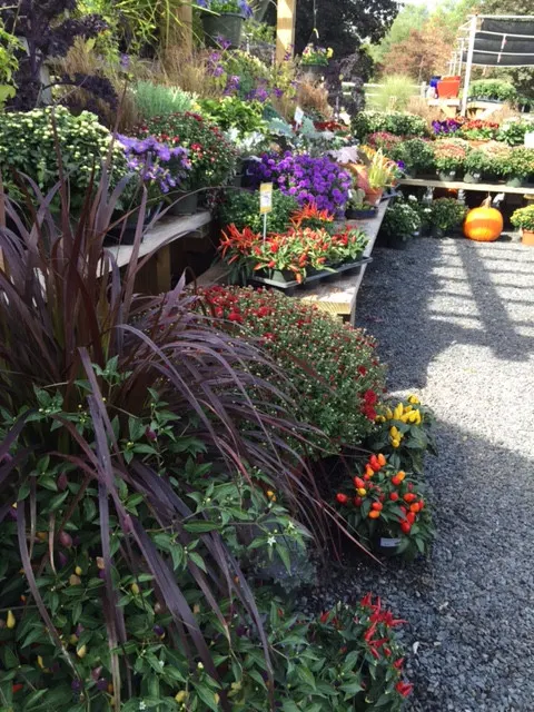 Froehlich's Farm