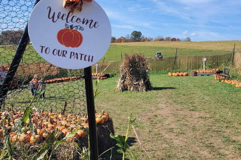 Gearhard Farms Corn Maze photo