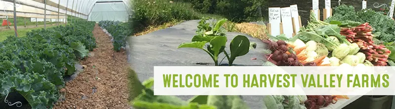 Harvest Valley Farms