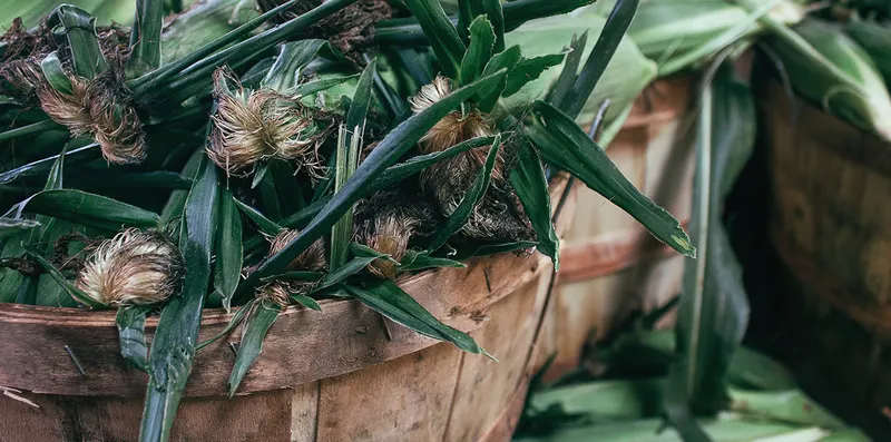 Janoski's Farm & Greenhouse photo