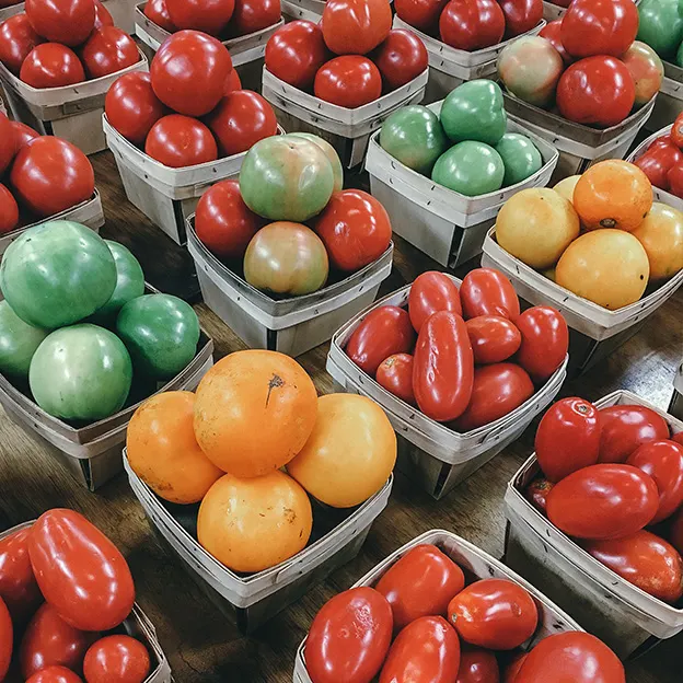 Janoski's Farm & Greenhouse photo