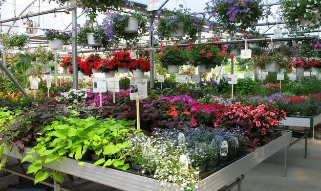 Kohler Farms